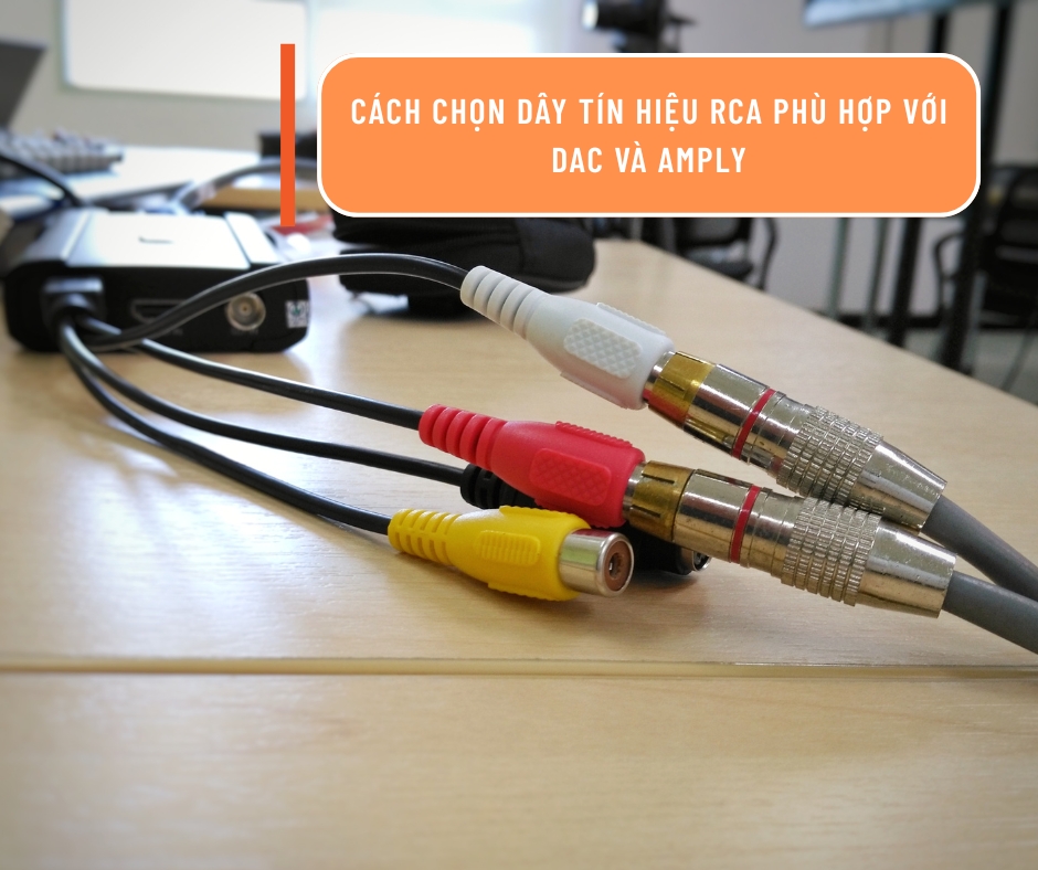 Cách chọn dây tín hiệu RCA phù hợp với DAC và ampli .Hướng dẫn chi tiết cho người chơi audio